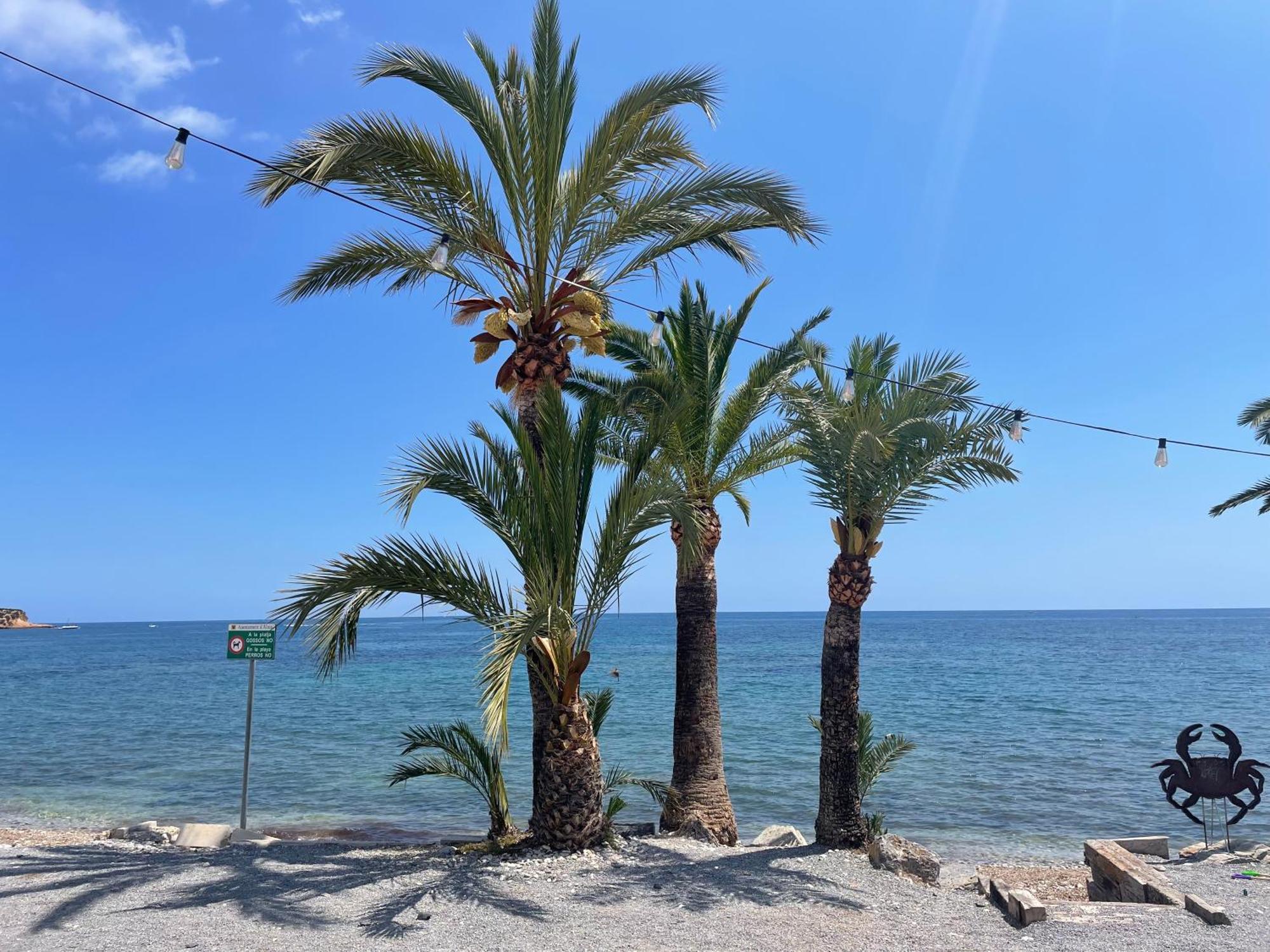 Altos De Finestrat Βίλα Εξωτερικό φωτογραφία